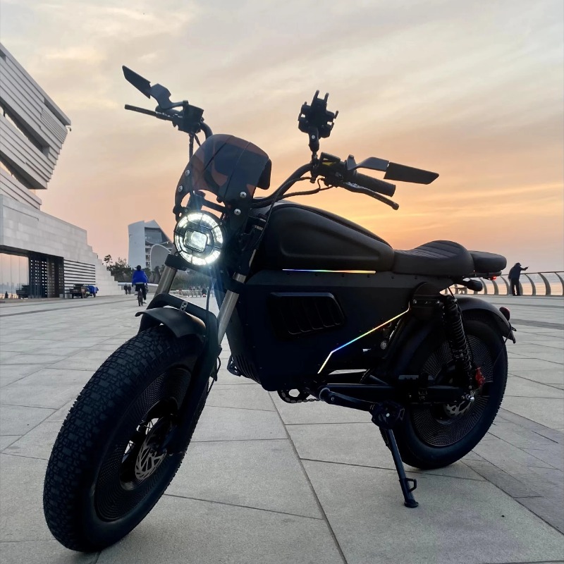 New Black Warrior 1500W 3000W  - огляд і ціна 48V 1500W Rear Hub Motor With Battery